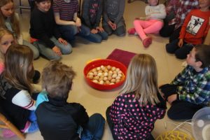 Lizas Småbruk kurs hønsehold hønseslakt høner rugemaskin egg